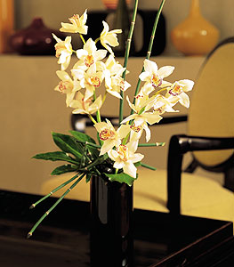  Bayburt iekiler  cam yada mika vazo ierisinde dal orkide