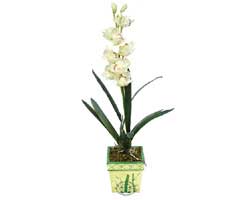 zel Yapay Orkide Beyaz   Bayburt online ieki , iek siparii 