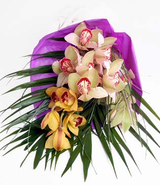  Bayburt cicekciler , cicek siparisi  1 adet dal orkide buket halinde sunulmakta