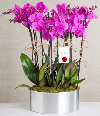 11 dall mor orkide metal vazoda  Bayburt iek gnderme sitemiz gvenlidir 