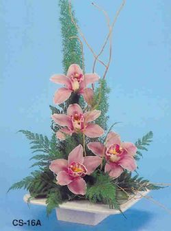  Bayburt çiçekçi telefonları  vazoda 4 adet orkide 