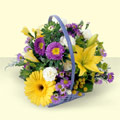  Bayburt online çiçekçi , çiçek siparişi  sepette kir çiçeklerinden  Bayburt çiçek yolla 