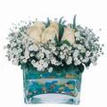 mika ve beyaz gül renkli taslar   Bayburt çiçek satışı 
