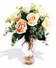  Bayburt çiçek siparişi sitesi  6 adet sari gül ve cam vazo
