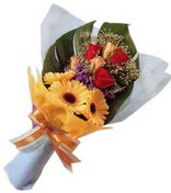 güller ve gerbera çiçekleri   Bayburt çiçek gönderme sitemiz güvenlidir 