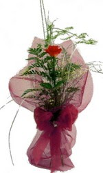 tek kirmizi gülden buket  Bayburt internetten çiçek siparişi 