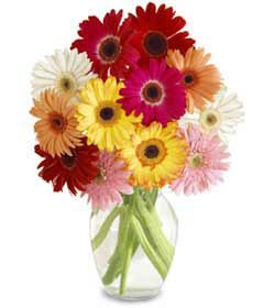  Bayburt uluslararası çiçek gönderme  cam vazo içerisinde karisik gerbera çiçekleri