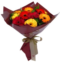  Bayburt internetten çiçek satışı  13 ADET KARISIK GERBERA BUKETI