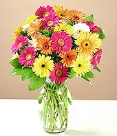  Bayburt çiçek online çiçek siparişi  17 adet karisik gerbera