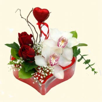 Bayburt hediye sevgilime hediye çiçek  1 kandil orkide 5 adet kirmizi gül mika kalp