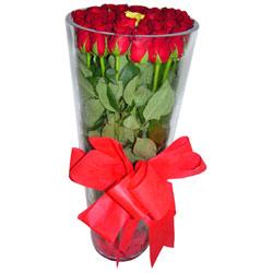  Bayburt çiçek online çiçek siparişi  12 adet kirmizi gül cam yada mika vazo tanzim