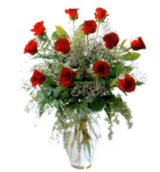 Vazo içerisinde 11 kirmizi gül  Bayburt çiçek siparişi vermek 