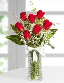 Cam vazoda 7 adet kırmızı gül  Bayburt çiçek , çiçekçi , çiçekçilik 