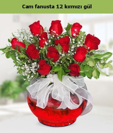 Cam içerisinde 12 adet kırmızı gül  Bayburt internetten çiçek satışı 