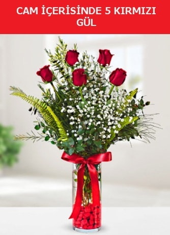 Cam içerisinde 5 adet kırmızı gül  Bayburt çiçek siparişi sitesi 